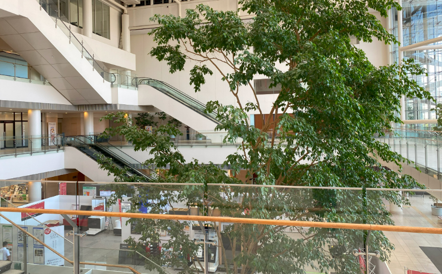 【高砂町×時給1250円】書類のチェック・入力など★大手保険会社