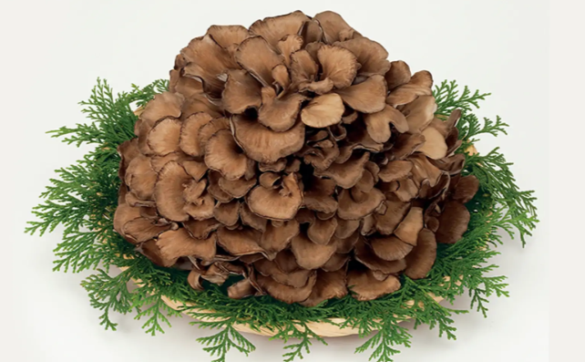 ＼社員化実績あり♪／平日休み★ゆったり進めよう↑40-50代活躍