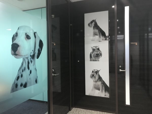 【5月開始】服装自由○長期◎ペットショップで問い合わせ対応