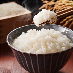 【1850円】あんしん長期★仕訳入力や売掛管理など日次経理◎