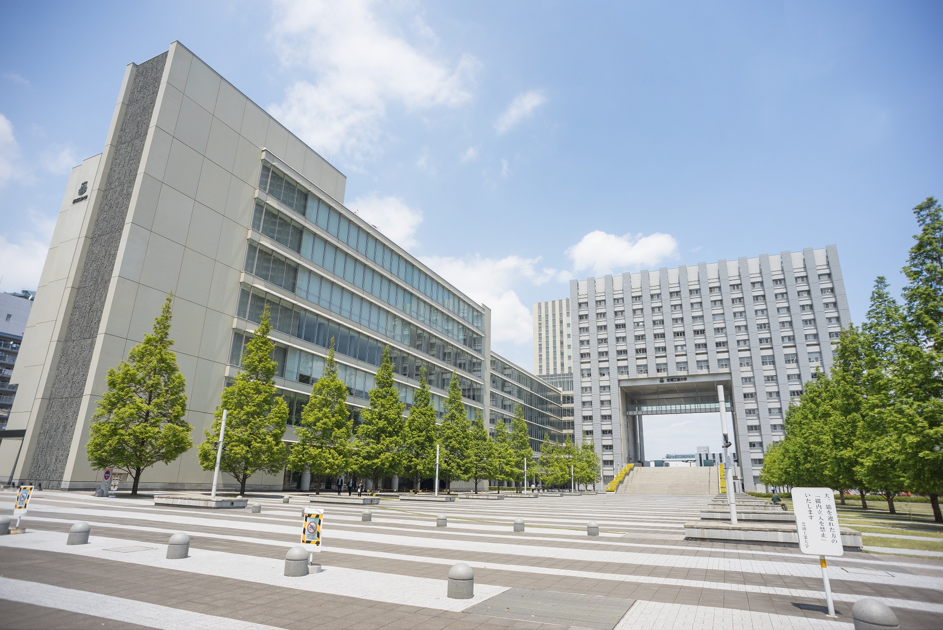 《人気の大学事務》PC入力できればOK！かんたん事務サポート☆