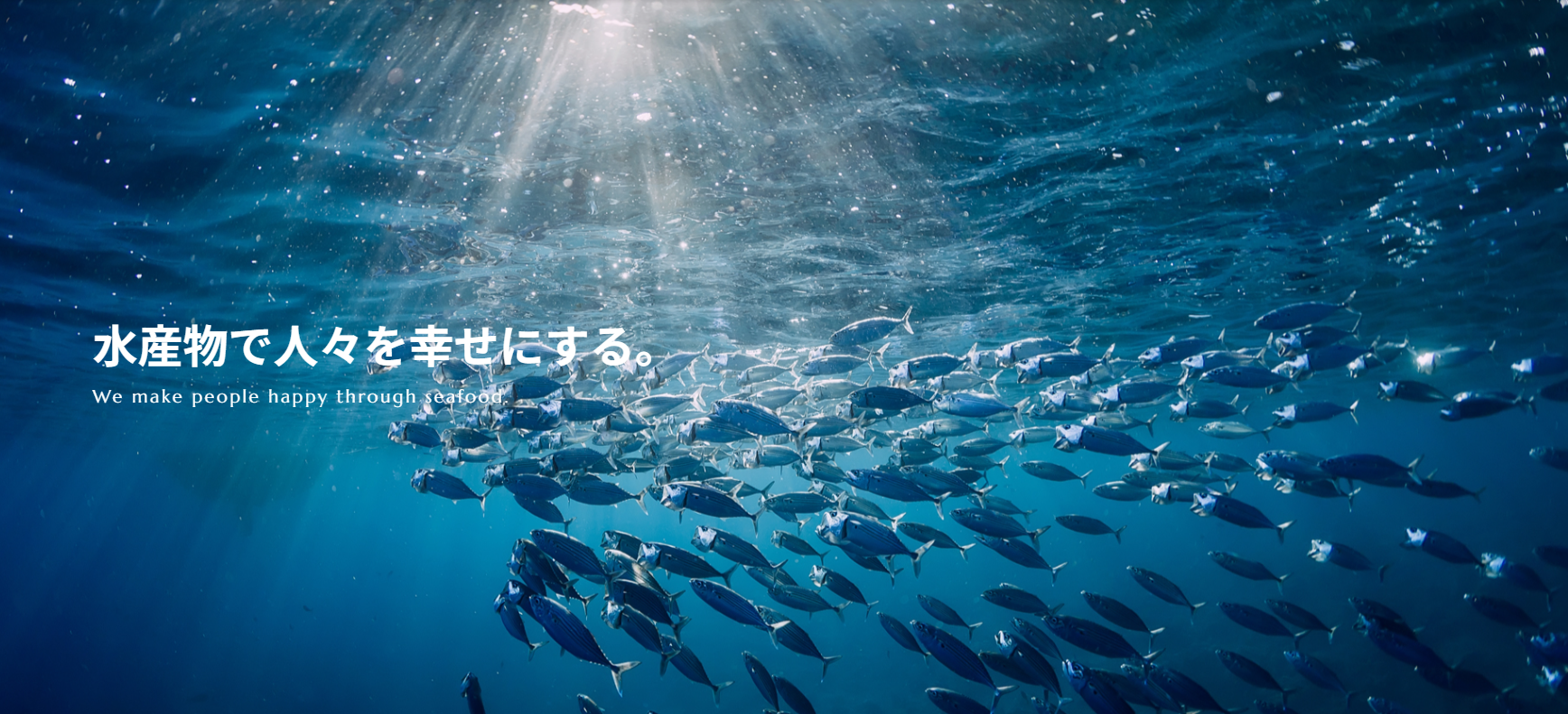 就業先イメージ