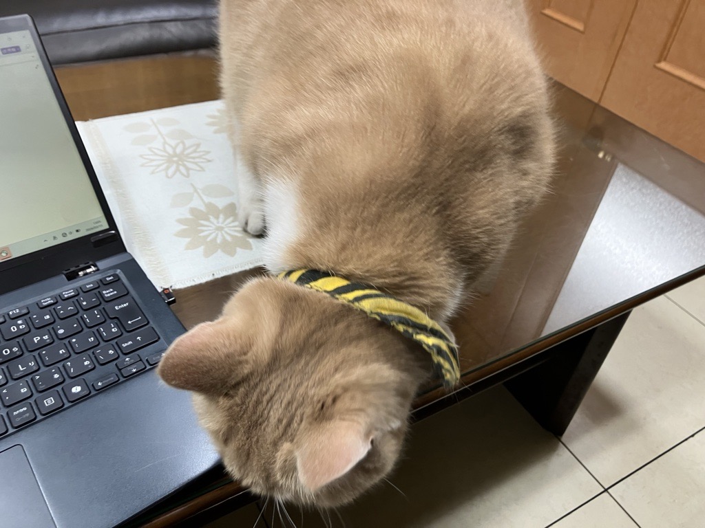 就業先イメージ