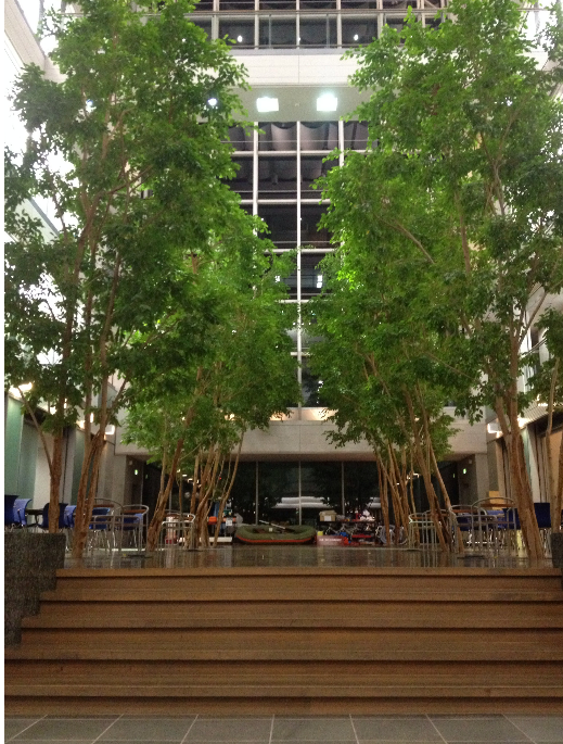 ＜未経験OK！人事のオシゴト♪＞採用のサポートをおまかせ☆彡