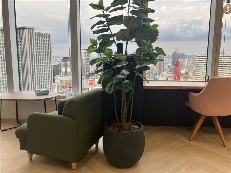 【6月～】残業なしで安心！動きがあって楽しい♪研修サポート★