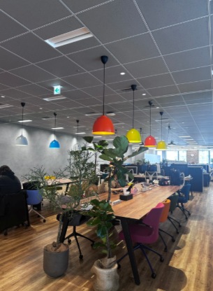 ＼エンタメ音楽業界★☆*｡･／穏やか×売掛金チーム＠表参道