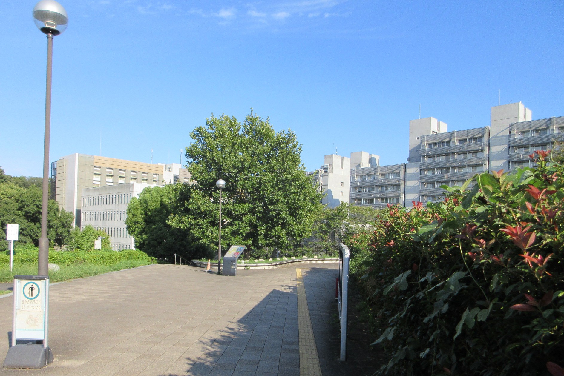 就業先イメージ