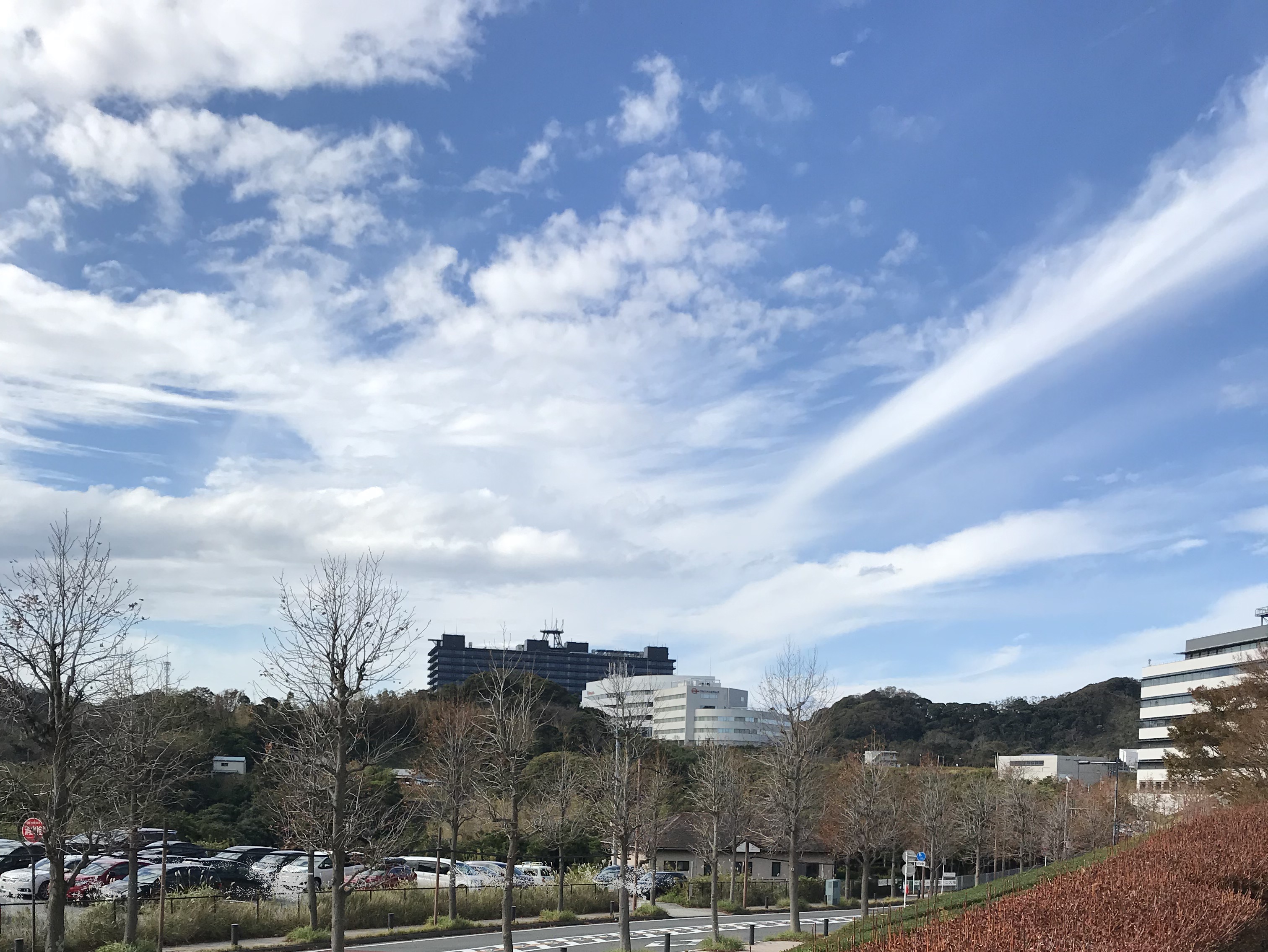 【光の丘】ほぼ電話なし！大手半導体関連メーカー調達×長期事務