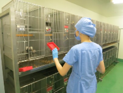 〈7月│富士宮〉マウス・ラットなど実験動物の飼育管理 @1,800～
