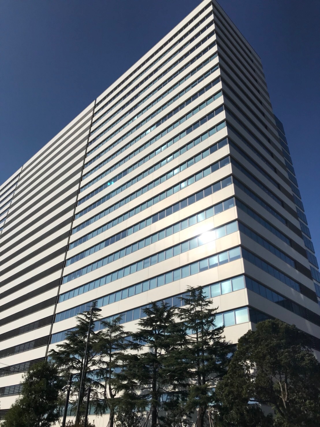 ＼服装自由で毎日楽々／未経験OK⇒入金状況の確認TEL＆事務@中野