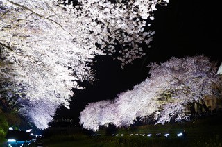 ＜西調布＞撮影用照明機材レンタル会社での総務＆ヘルプデスク