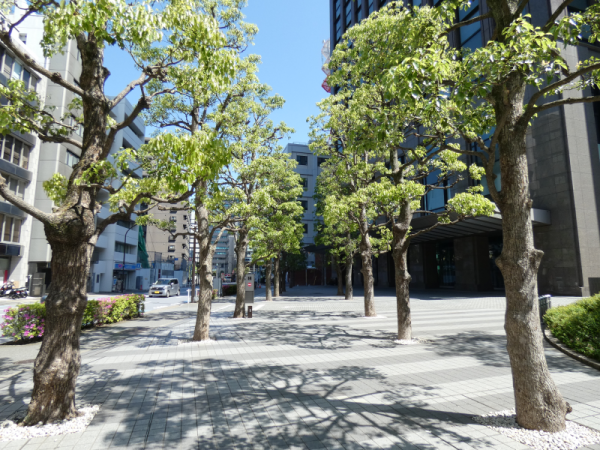 ◆穏やか日系◆おしゃれOFFICE☆*.≪受発注×サポート事務♪≫