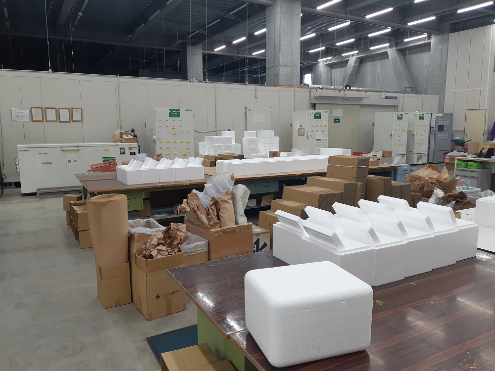 【未経験OK×穏やか】焦らずコツコツ◎医療系物流のシンプル作業