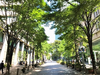 10月☆大手商社でハタラク★社内調整多めの部内サポートをお任せ