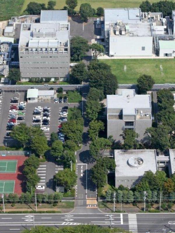 ＜つくば×医薬品分析＞たんぱく医薬品のHPLC分析
