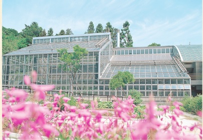 ＜学校事務＊17時まで×東玉川学園エリア＞サポート業務好きに♪