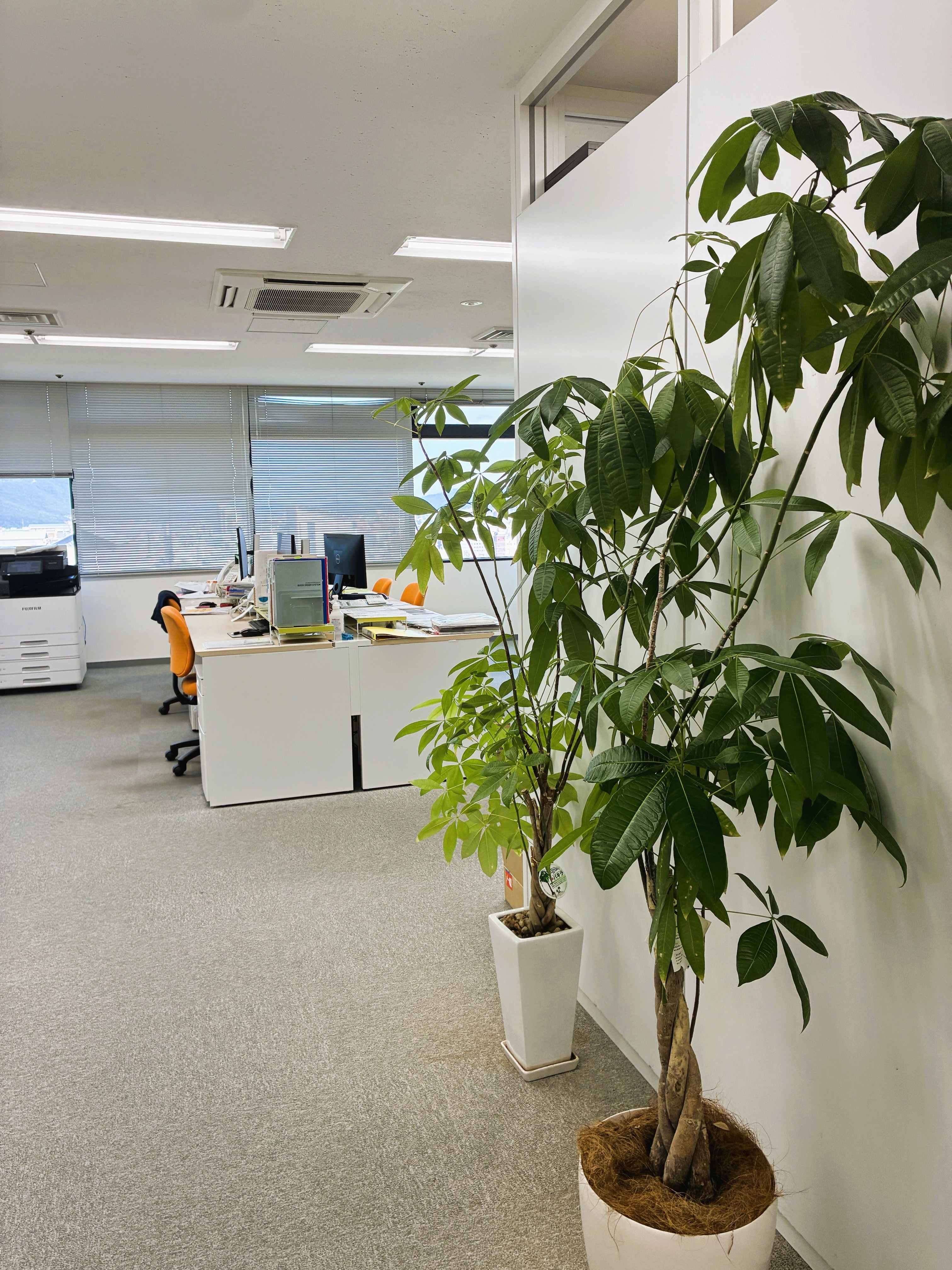 就業先イメージ