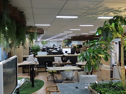 就業先イメージ