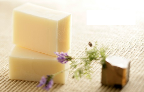 就業先イメージ