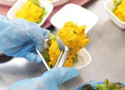 就業先イメージ