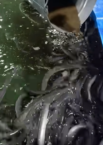 就業先イメージ