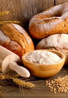 就業先イメージ