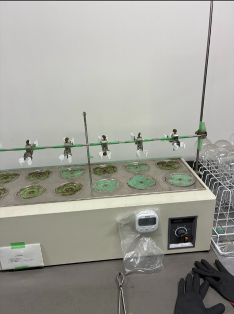 就業先イメージ