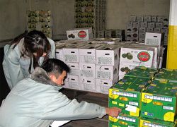 就業先イメージ