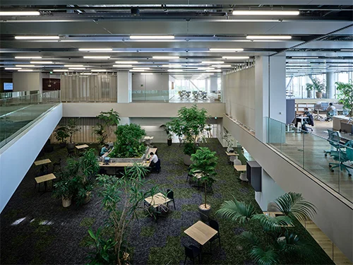 就業先イメージ