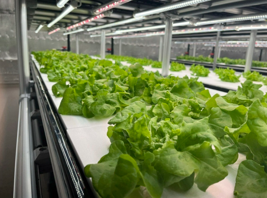 就業先イメージ