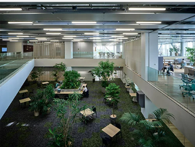 就業先イメージ