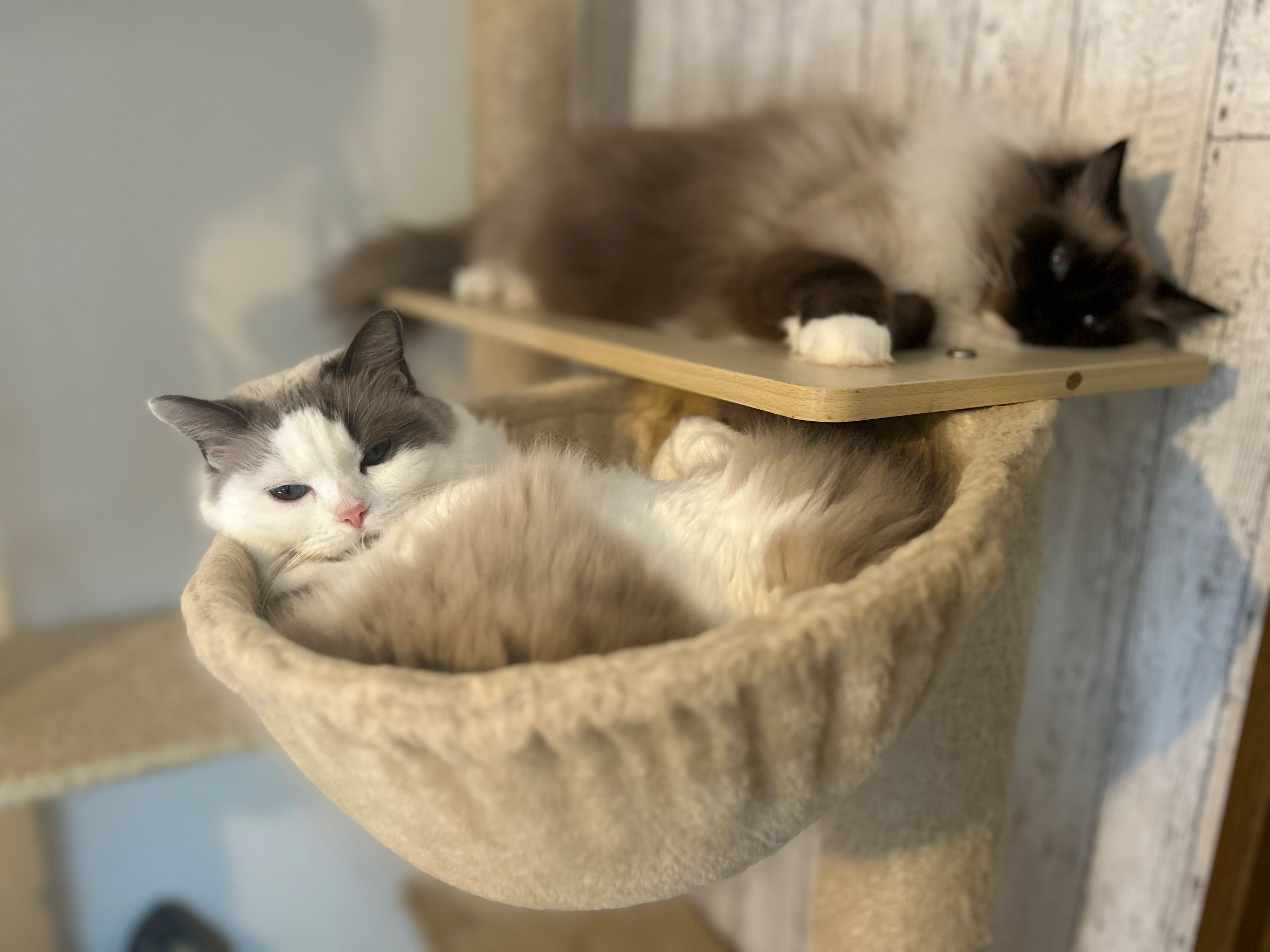 就業先イメージ