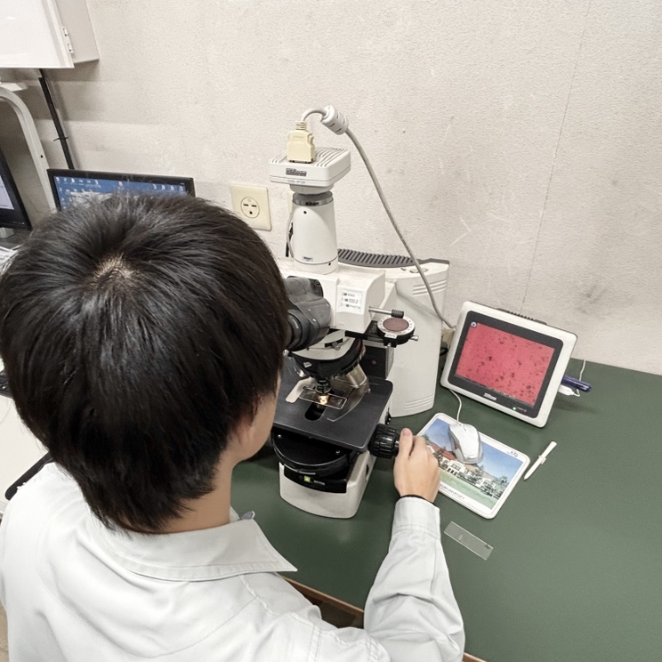 就業先イメージ