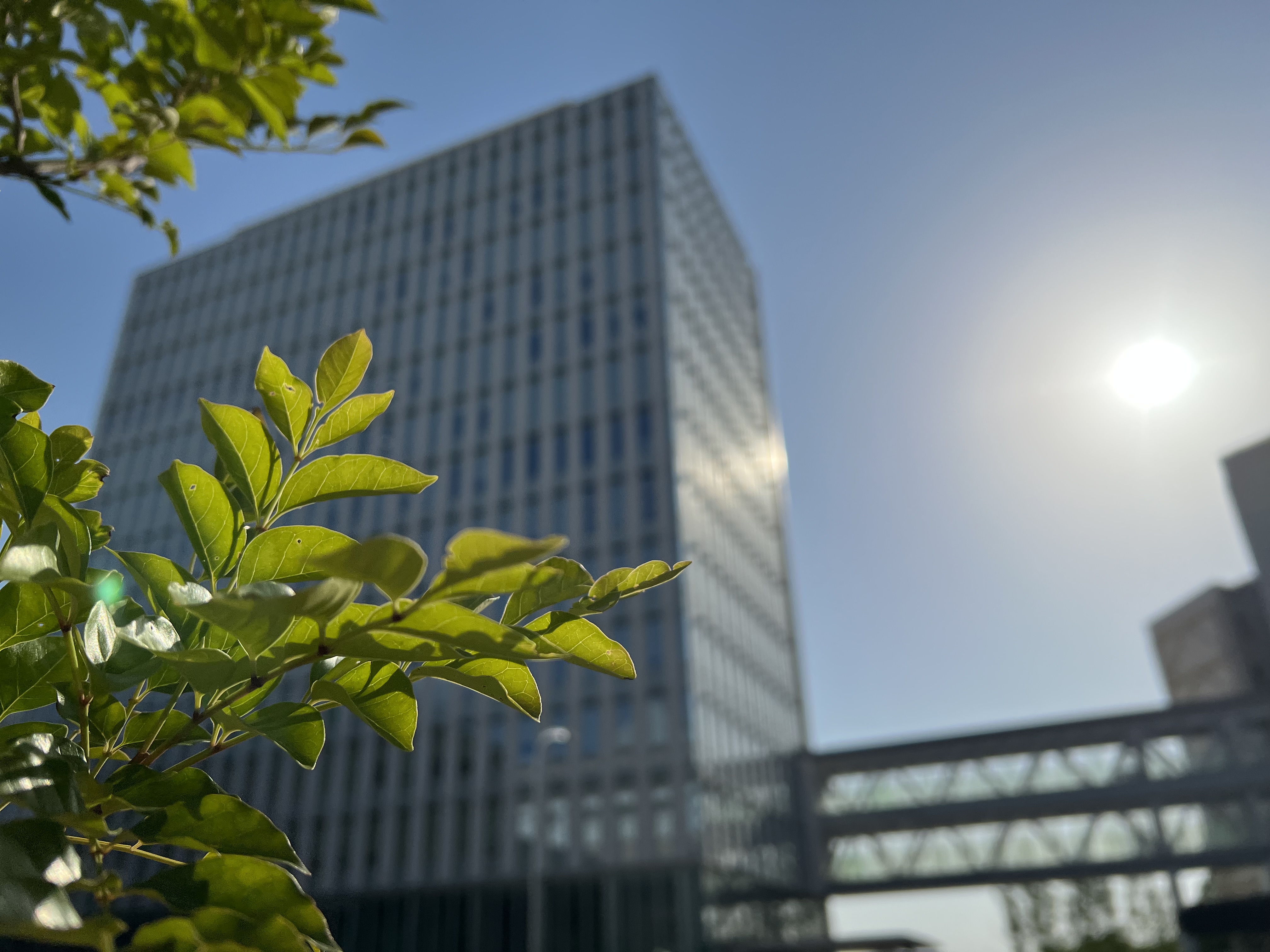 就業先イメージ