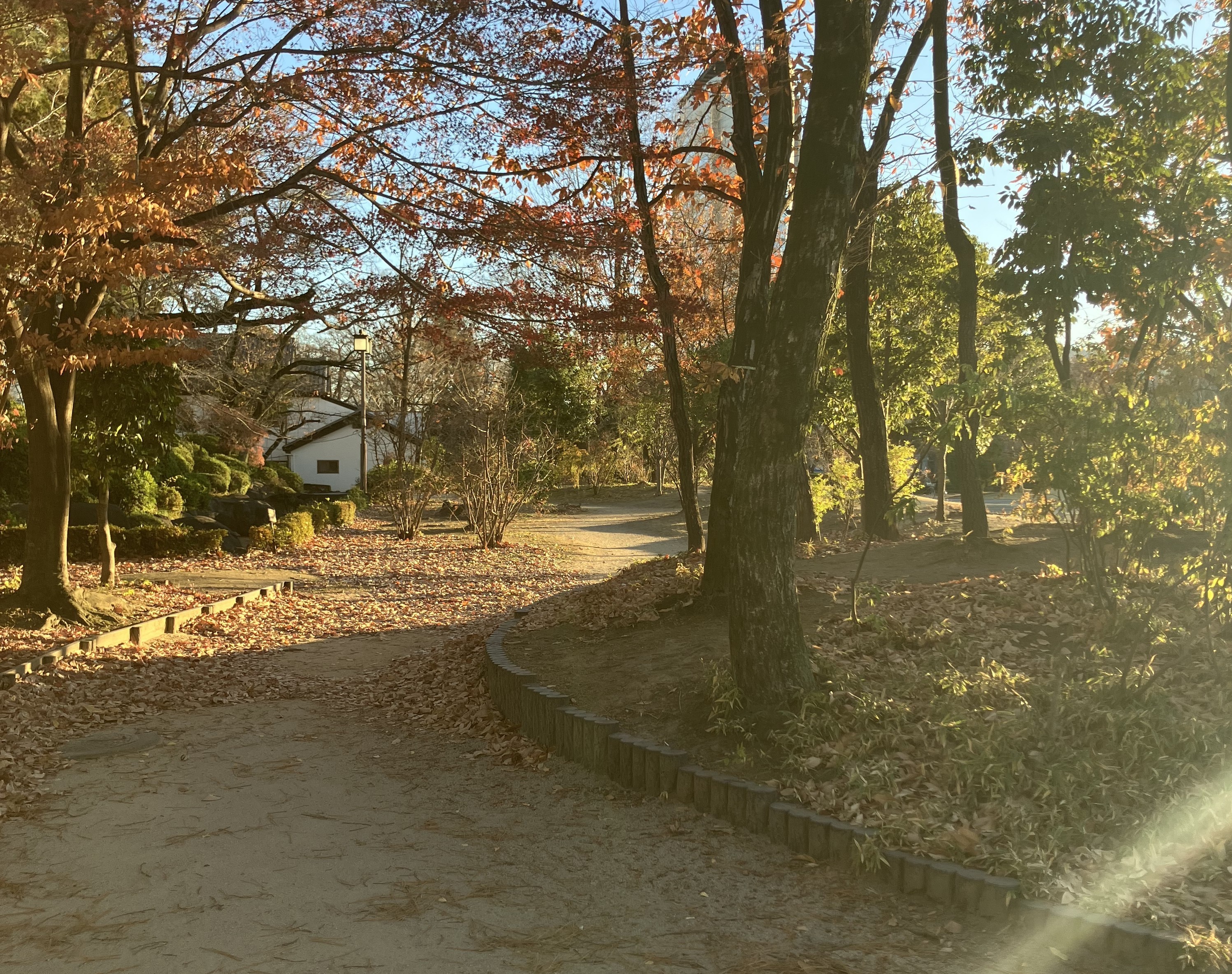 就業先イメージ