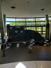 就業先イメージ