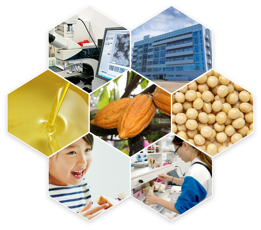 就業先イメージ