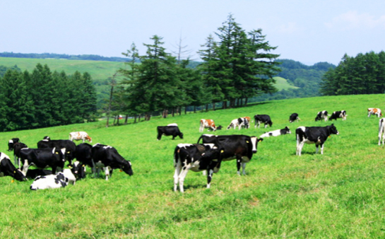 就業先イメージ