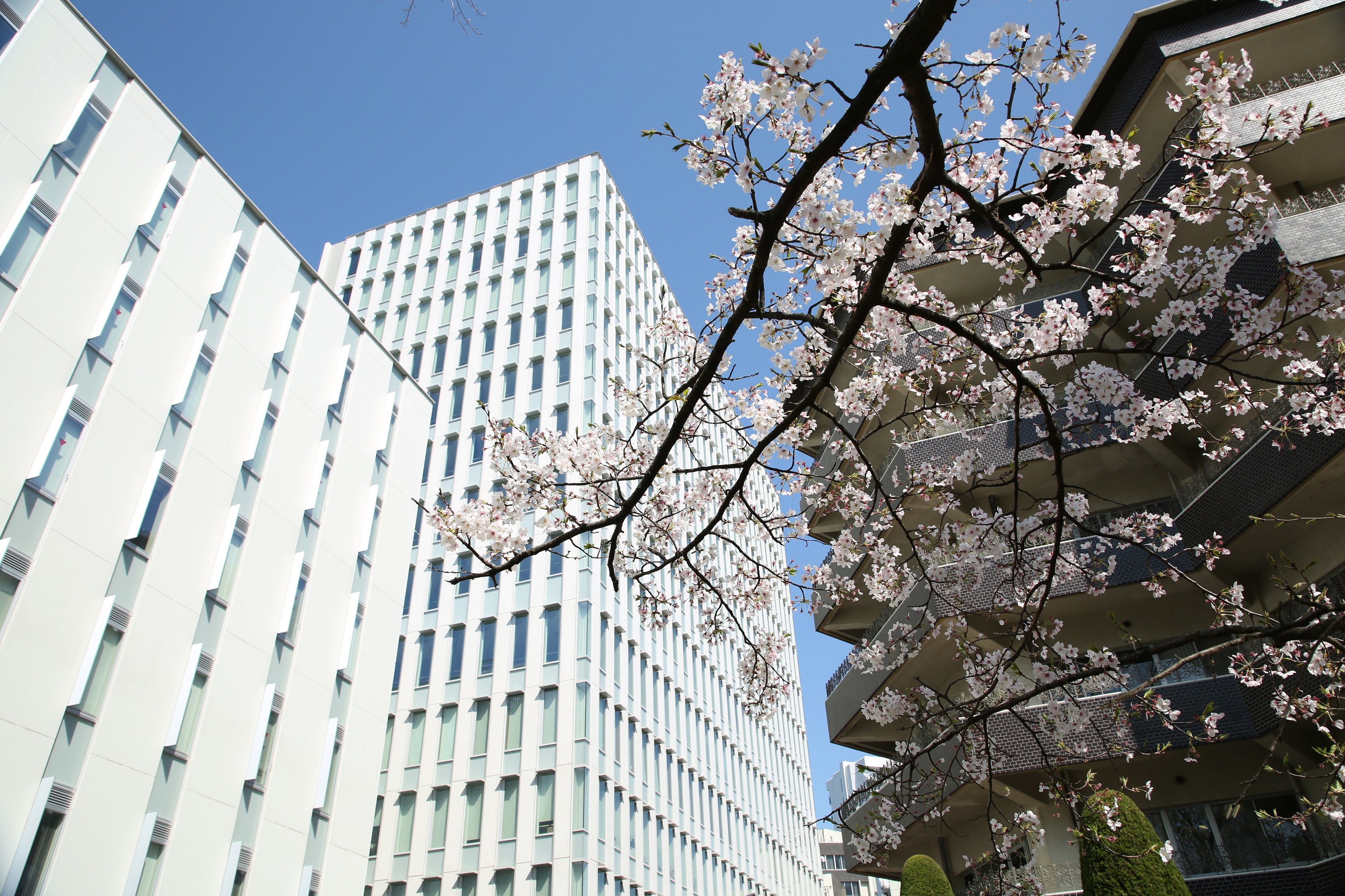 就業先イメージ