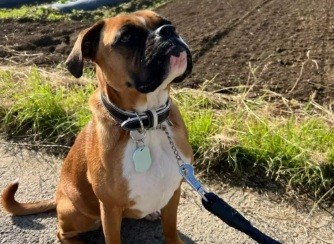 就業先イメージ