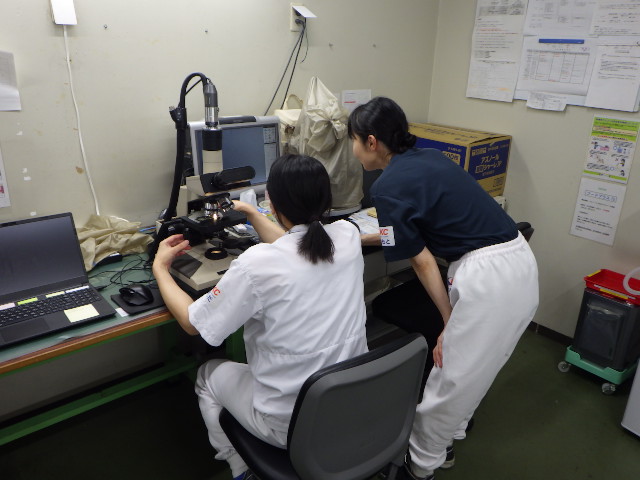 就業先イメージ