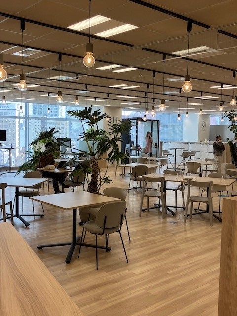 就業先イメージ