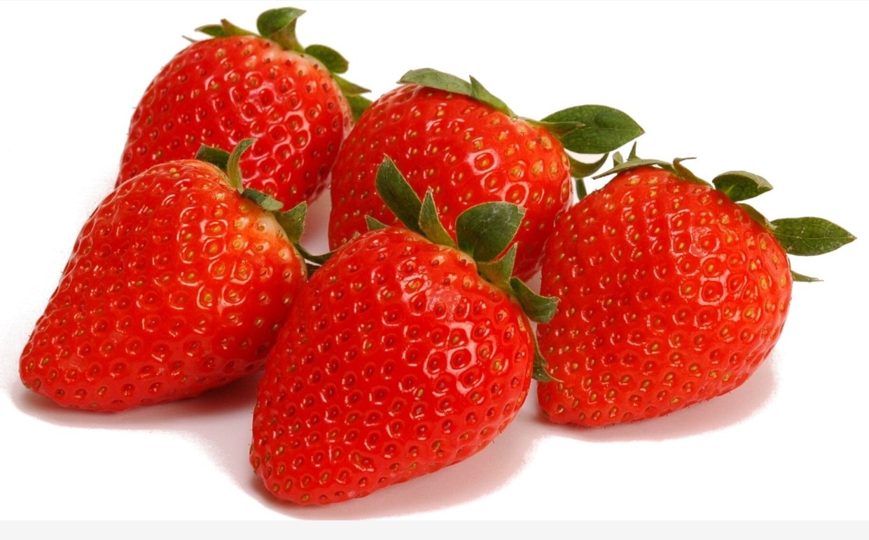 就業先イメージ