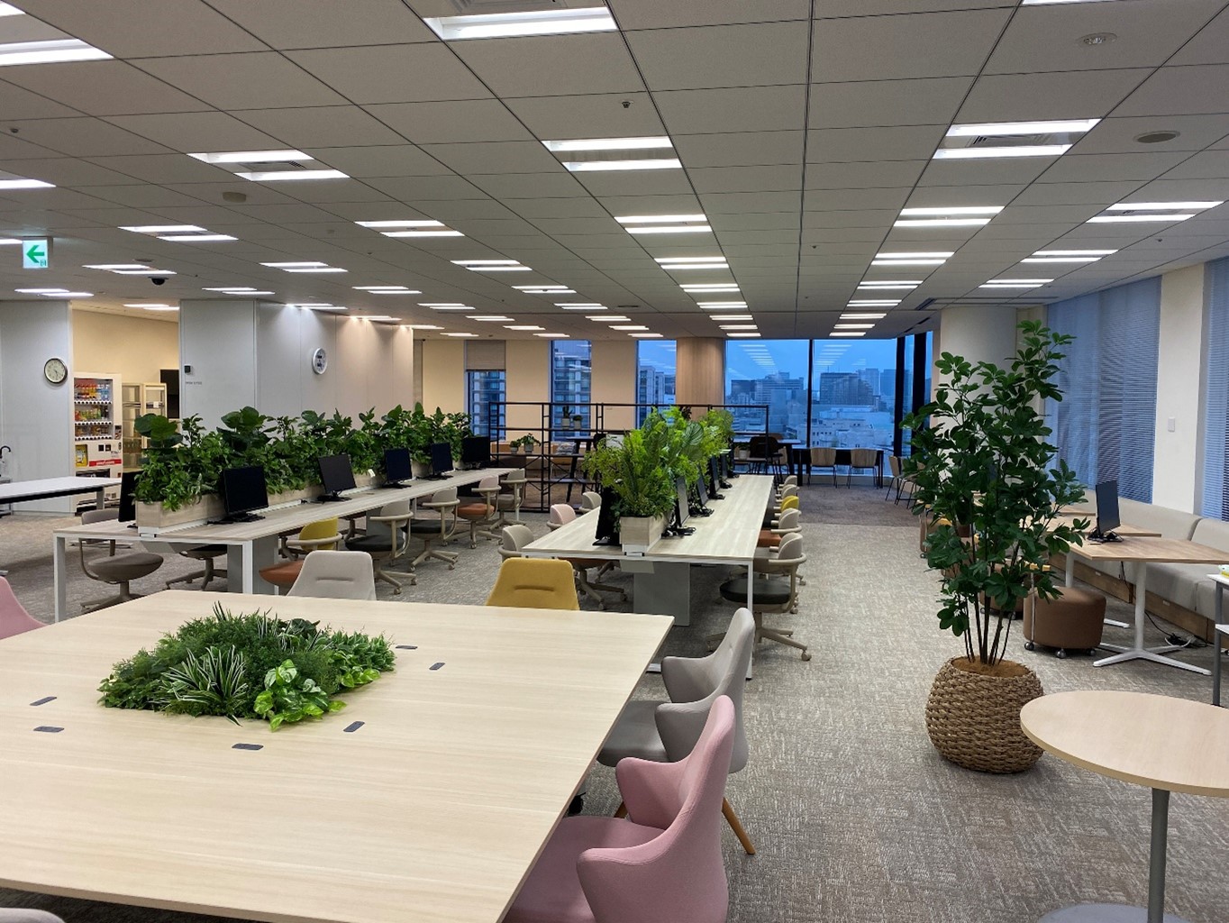 就業先イメージ