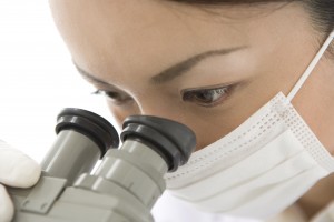 就業先イメージ