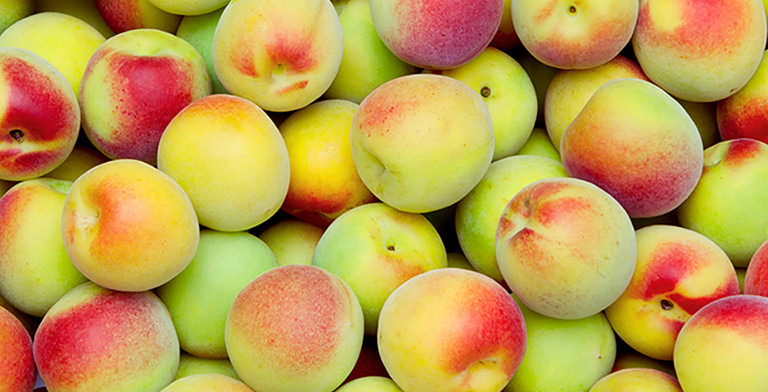 就業先イメージ