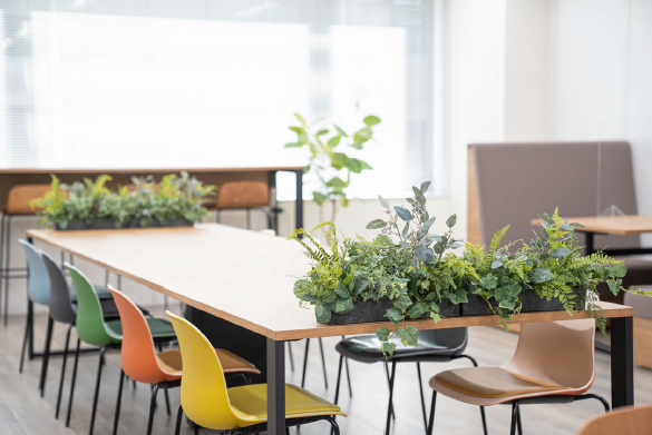 就業先イメージ