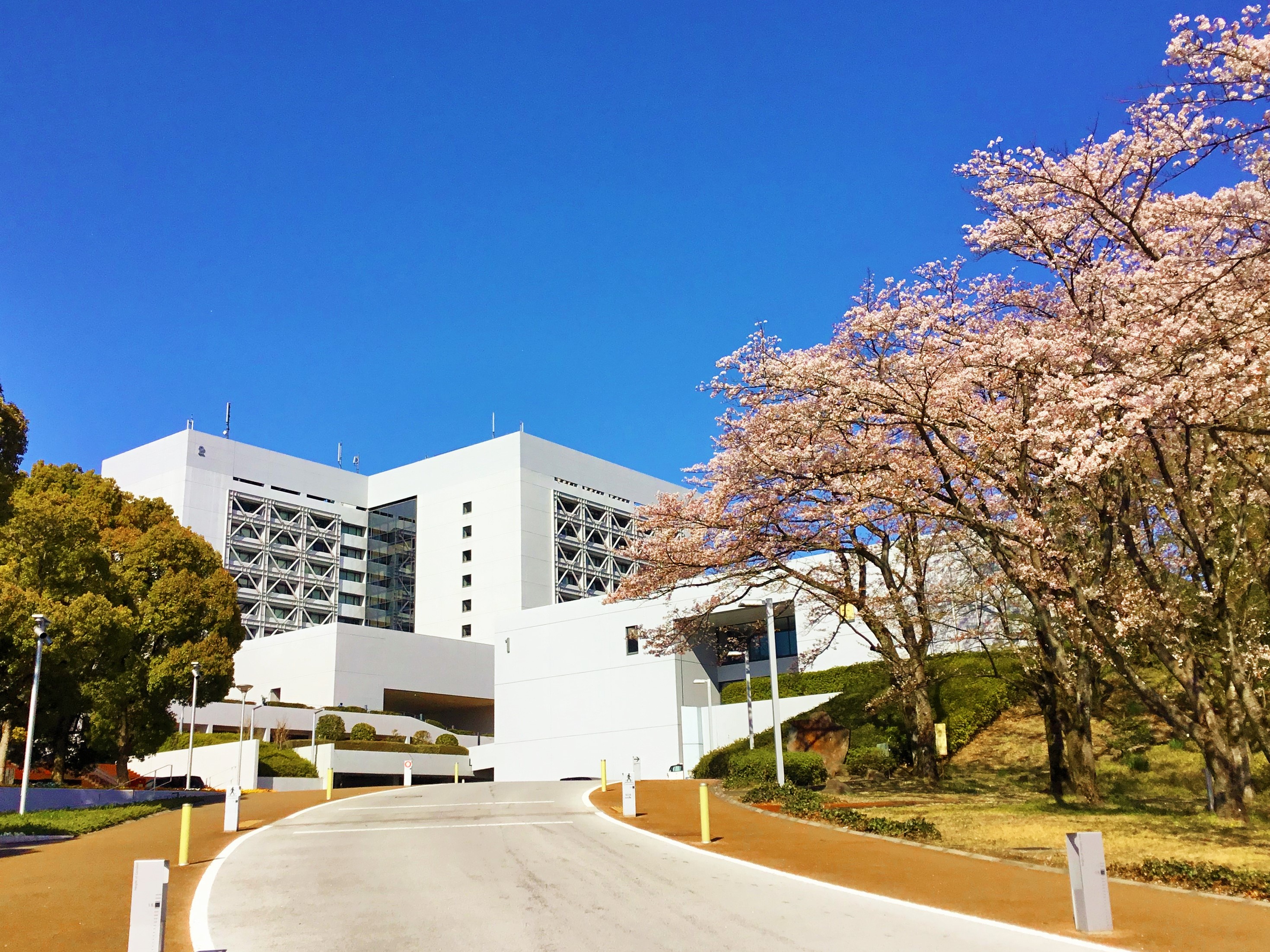 就業先イメージ