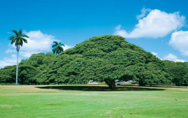 就業先イメージ