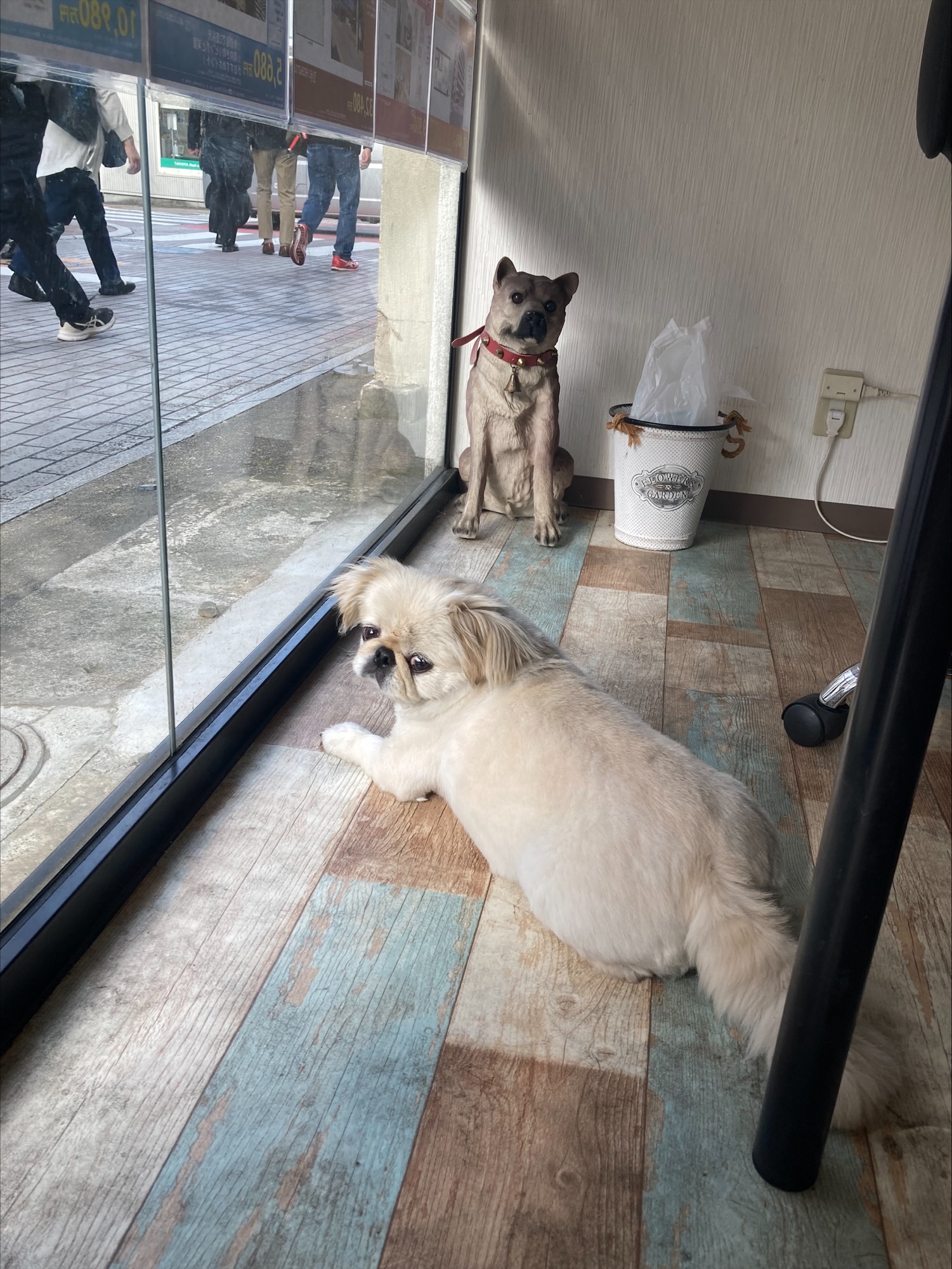 就業先イメージ